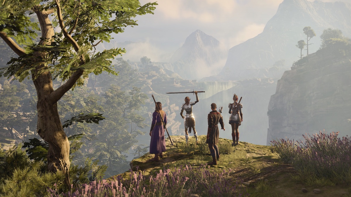 The adventuring party surveys a wilderness landscape.